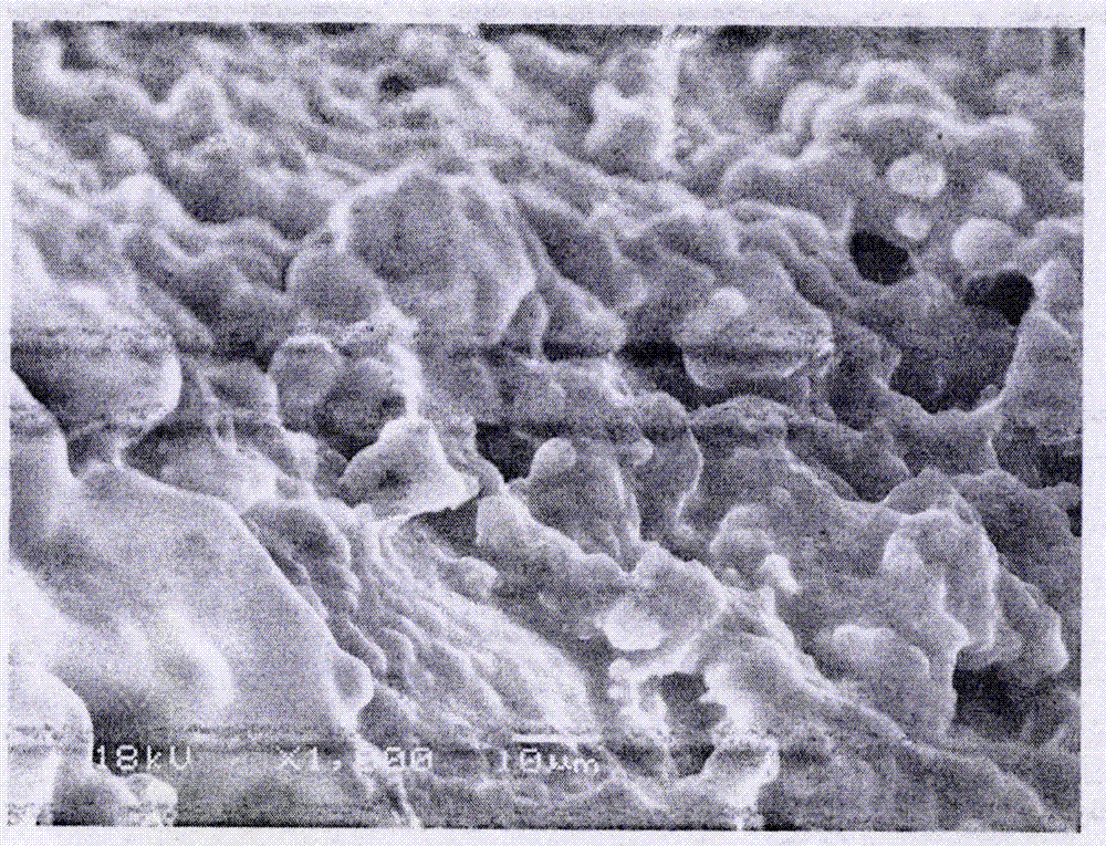 Method for improving cell compatibility of bio-derived hydroxyapatite