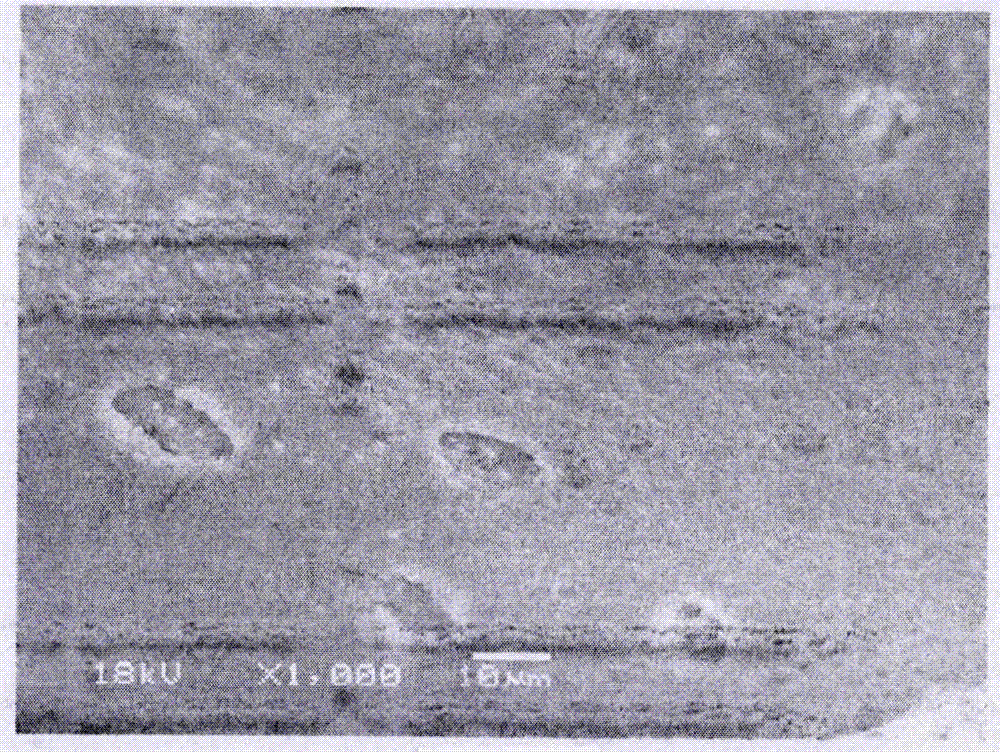 Method for improving cell compatibility of bio-derived hydroxyapatite