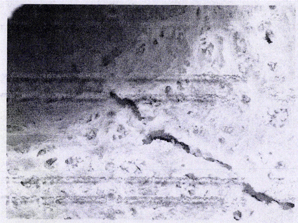 Method for improving cell compatibility of bio-derived hydroxyapatite