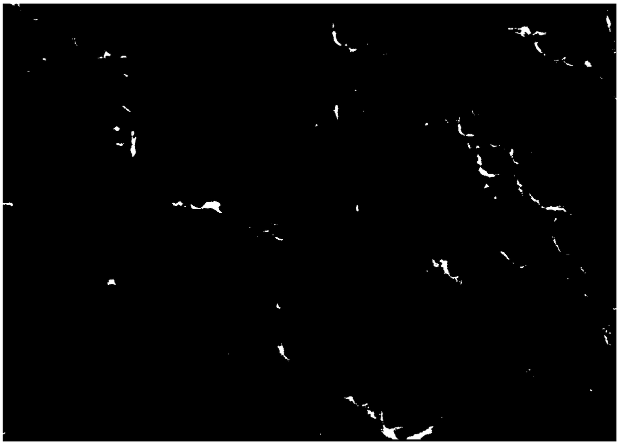 Lithium battery separator coated with mixed coating layer and preparation method of lithium battery separator