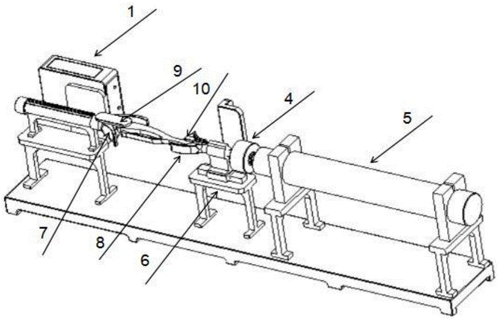 Stress loading device and system for constructing stress fracture animal model and method