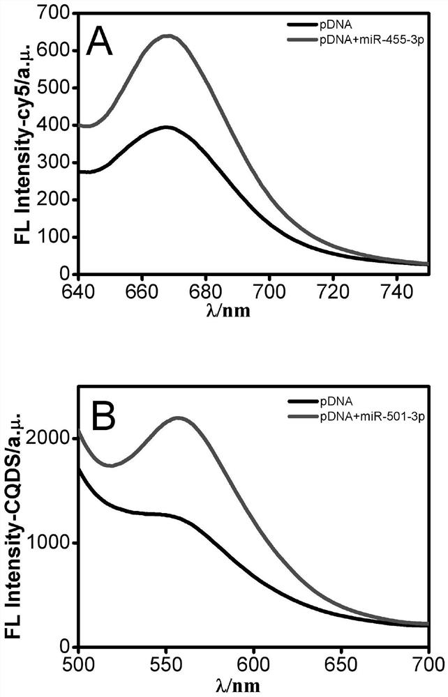 Fluorescent biosensor for simultaneously detecting two kinds of RNA as well as preparation method and use method thereof