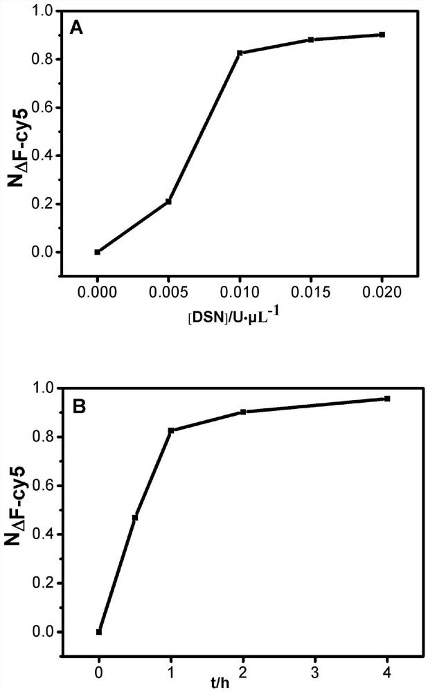 Fluorescent biosensor for simultaneously detecting two kinds of RNA as well as preparation method and use method thereof