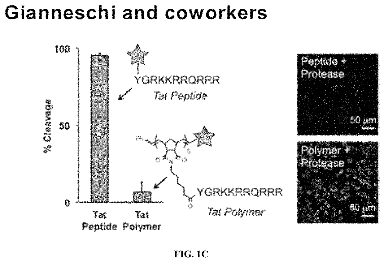 Degradable polymers of a cyclic silyl ether and uses thereof