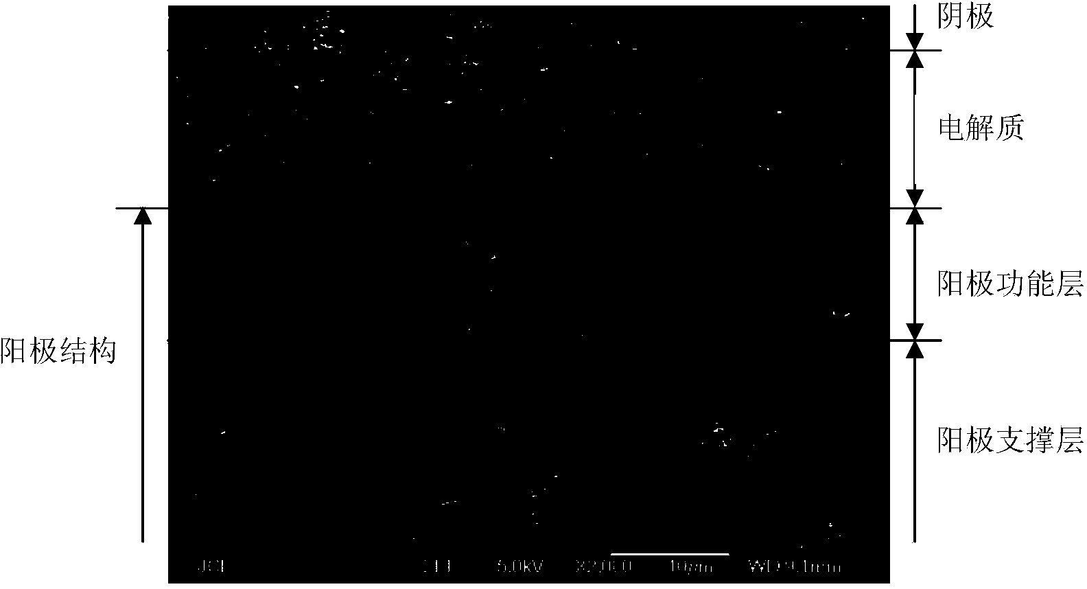 Medium-temperature SOFC (solid oxide fuel cell) flat-plate anode-supported monocell anode structure and preparation method thereof