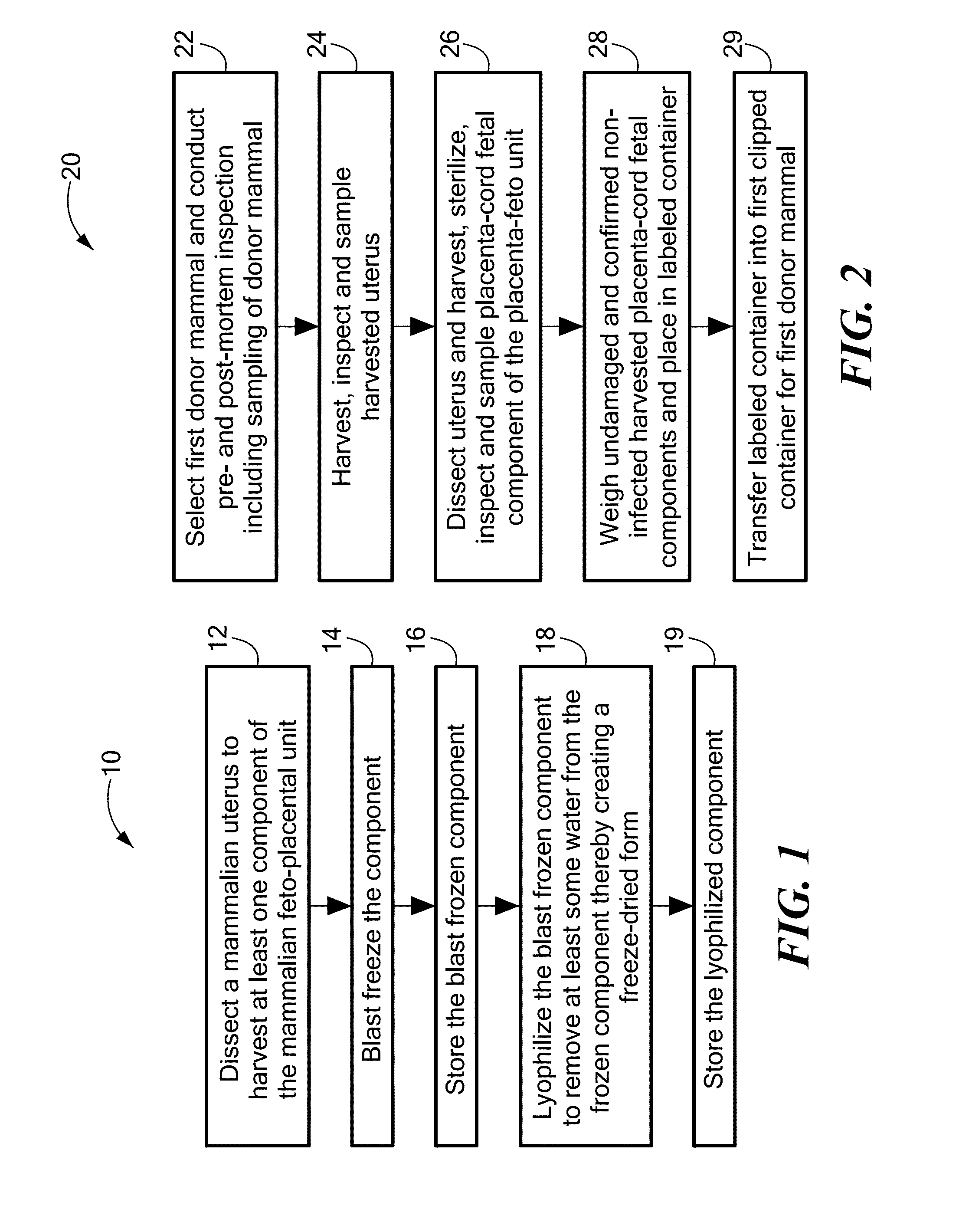 Method for the harvesting, processing, and storage of proteins from the mammalian feto-placental unit and use of such proteins in compositions and medical treatment