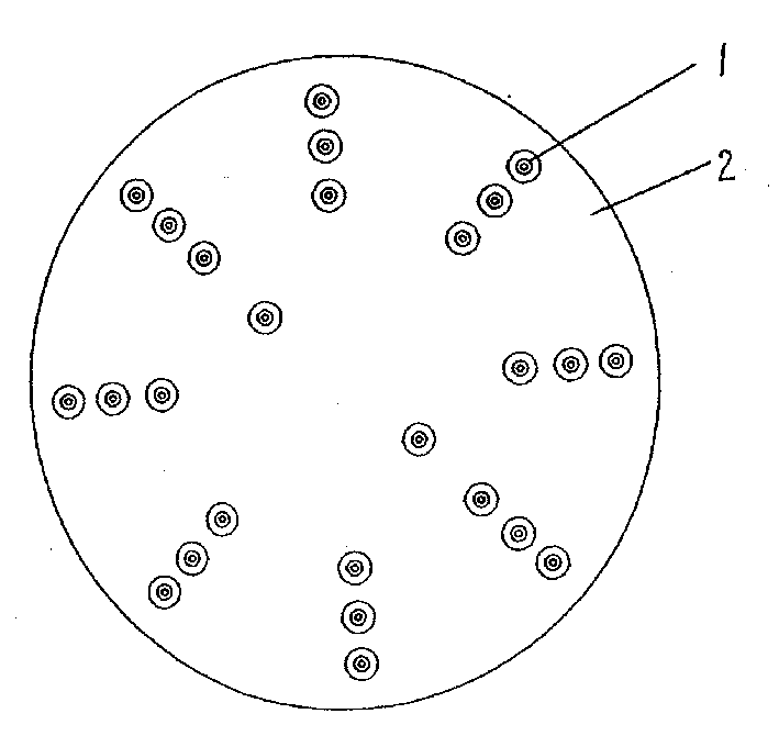 High energy array magnetic core of biological magnetic field regulation