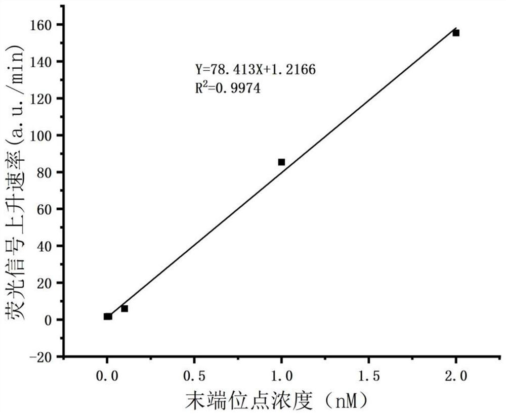 Sperm DNA fragmentation fluorescence detection method, detection kit and application thereof