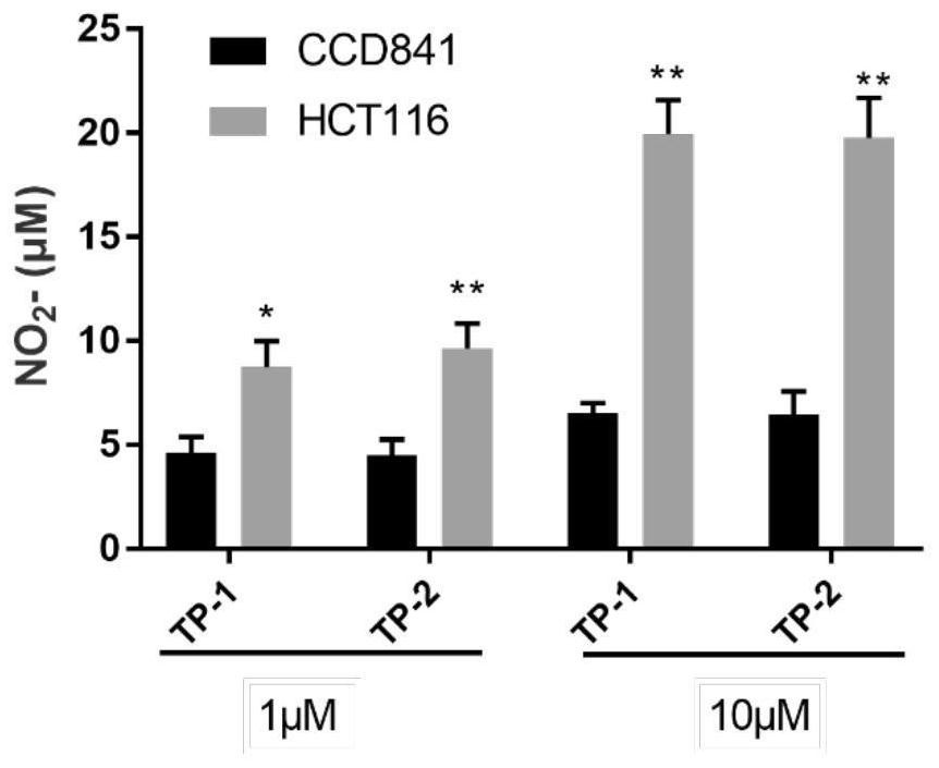 NO donor type piperlongumine derivative as well as preparation method and application thereof