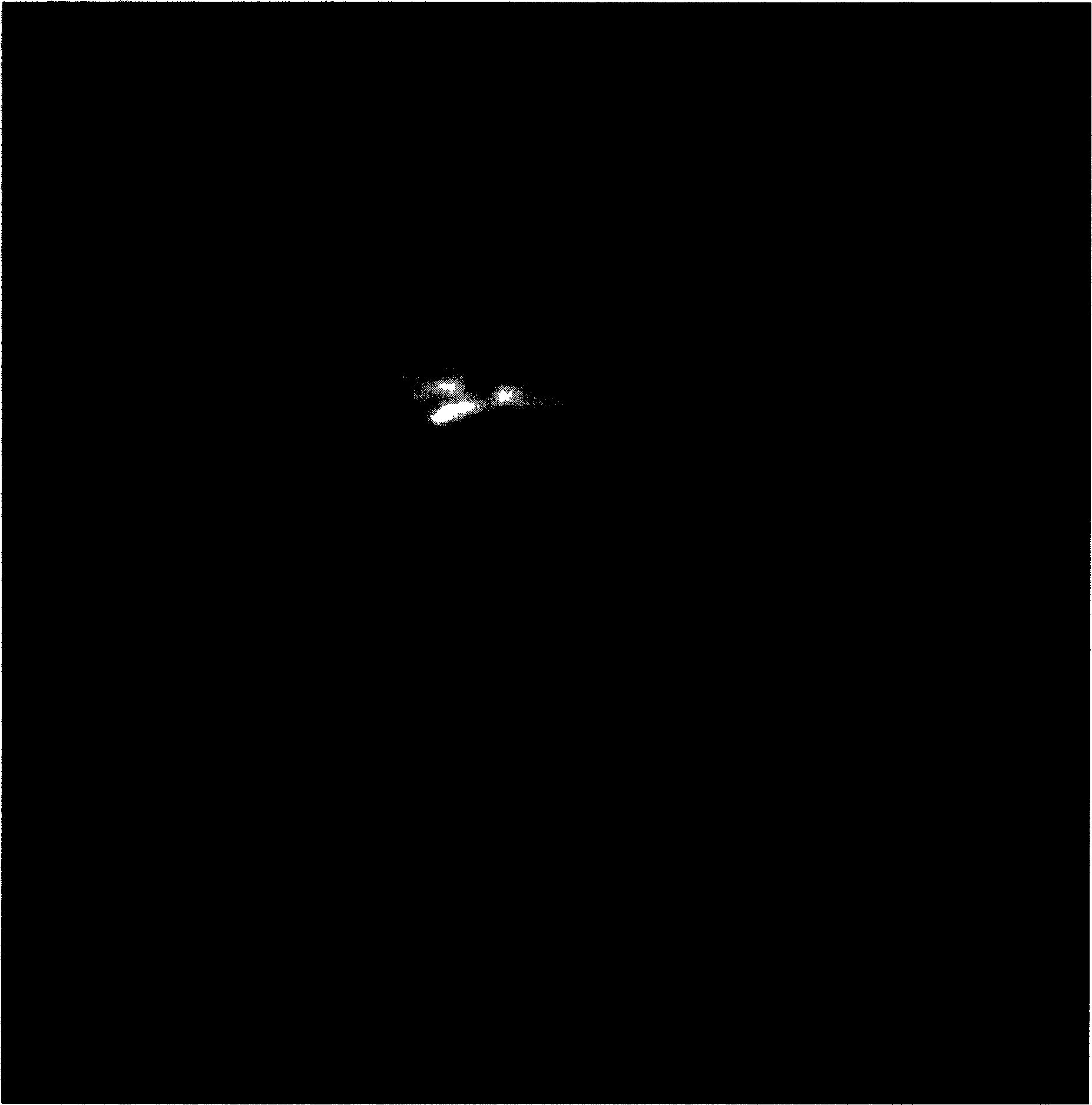 Radioactive rhenium-N-accessory ingredient of alkyl dinitrogen disulfide for curing liver cancer and preparation method