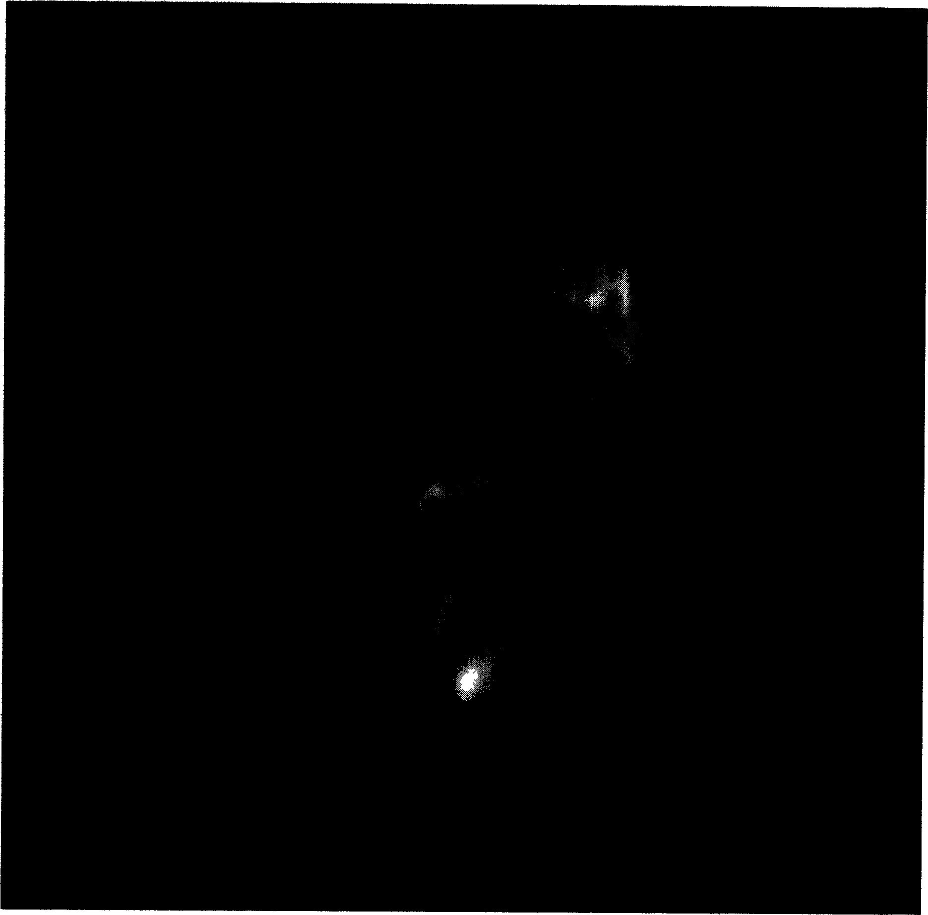 Radioactive rhenium-N-accessory ingredient of alkyl dinitrogen disulfide for curing liver cancer and preparation method