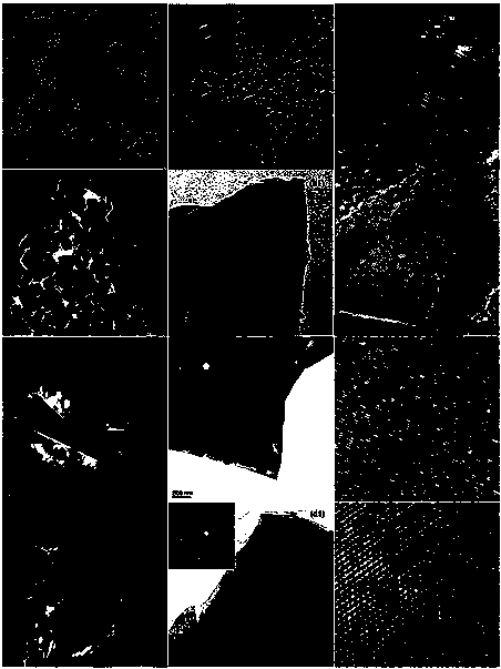 Composite diamond ene bone nail and its manufacturing method