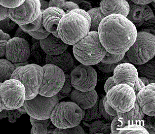 A kind of zinc oxide microsphere and preparation method thereof