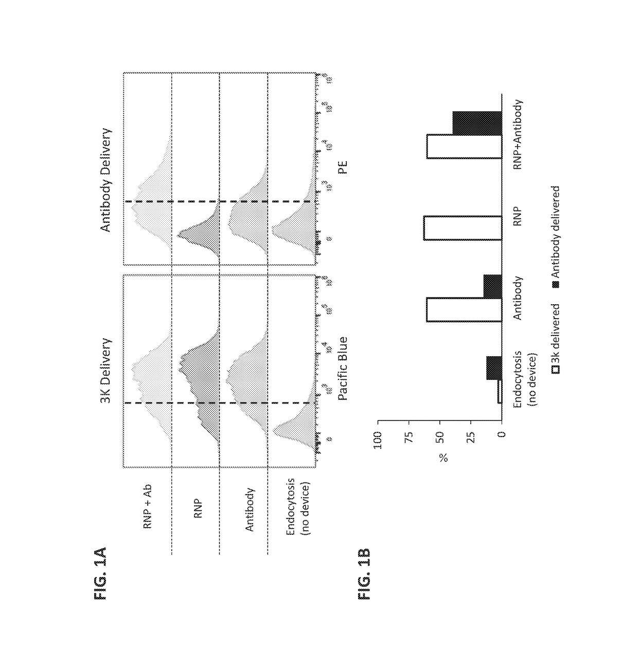 Intracellular delivery of complexes