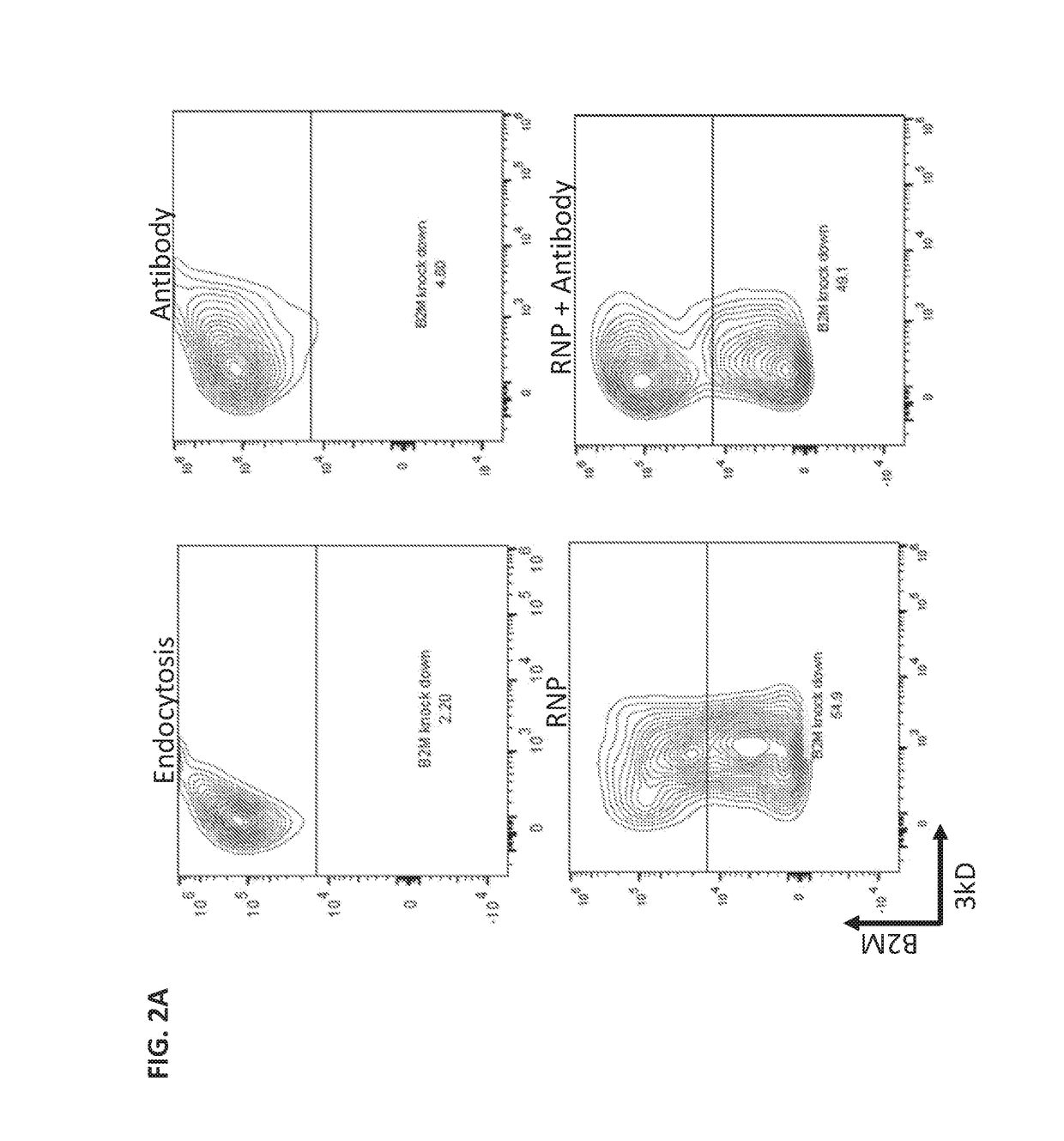 Intracellular delivery of complexes