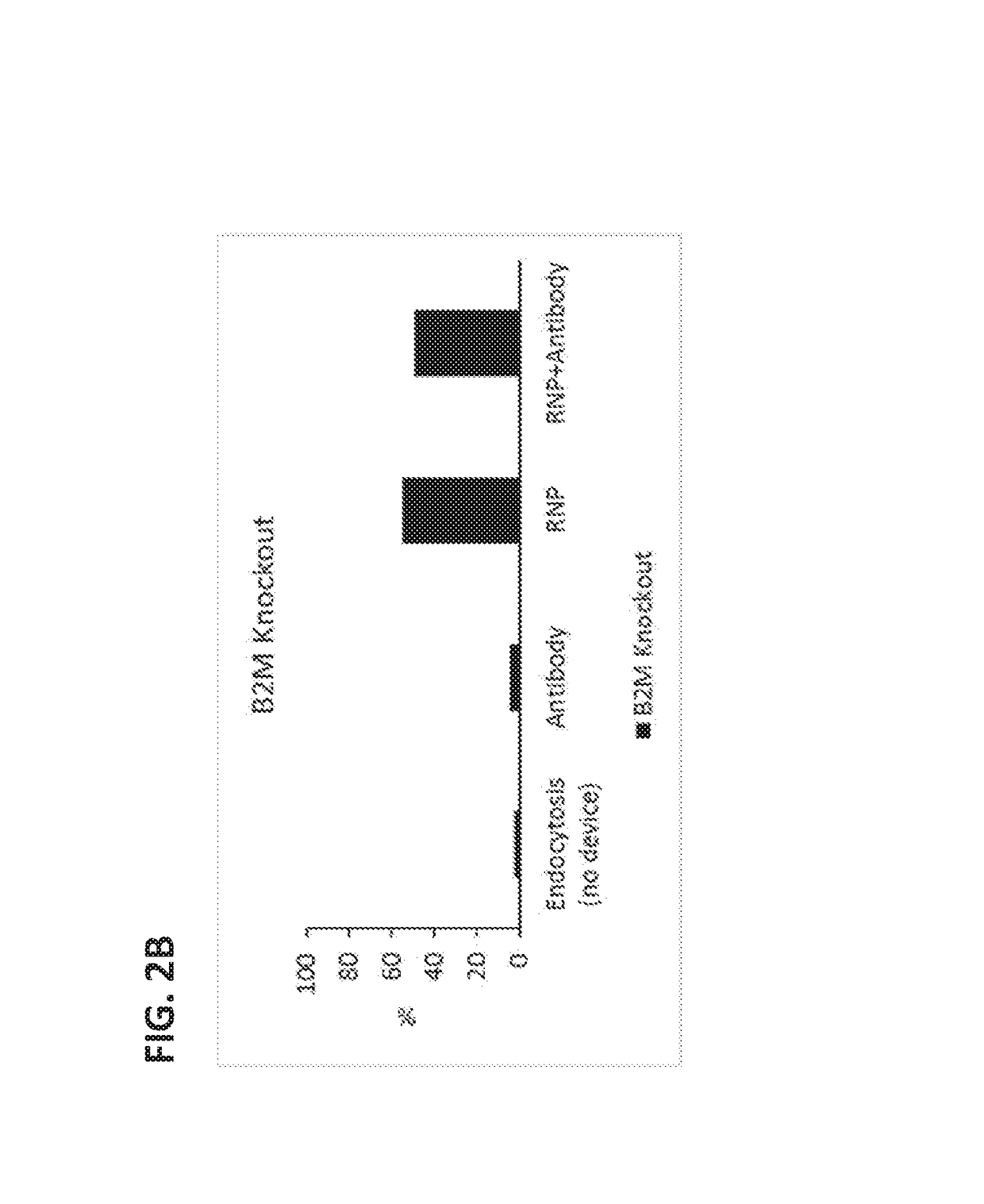 Intracellular delivery of complexes