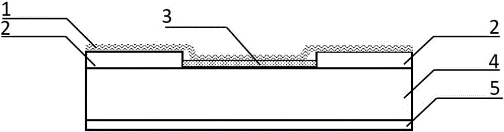 Self-driving two-dimensional molybdenum(IV) telluride homotype heterojunction near infrared electric detector and preparation method thereof