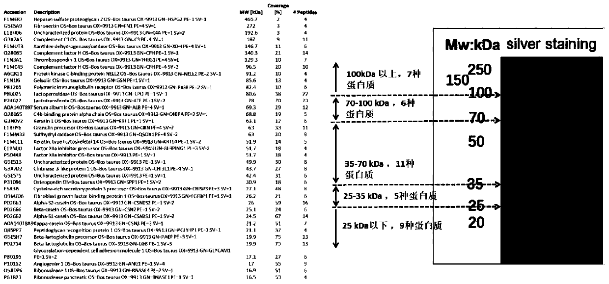 Preparation for blocking coronavirus infection