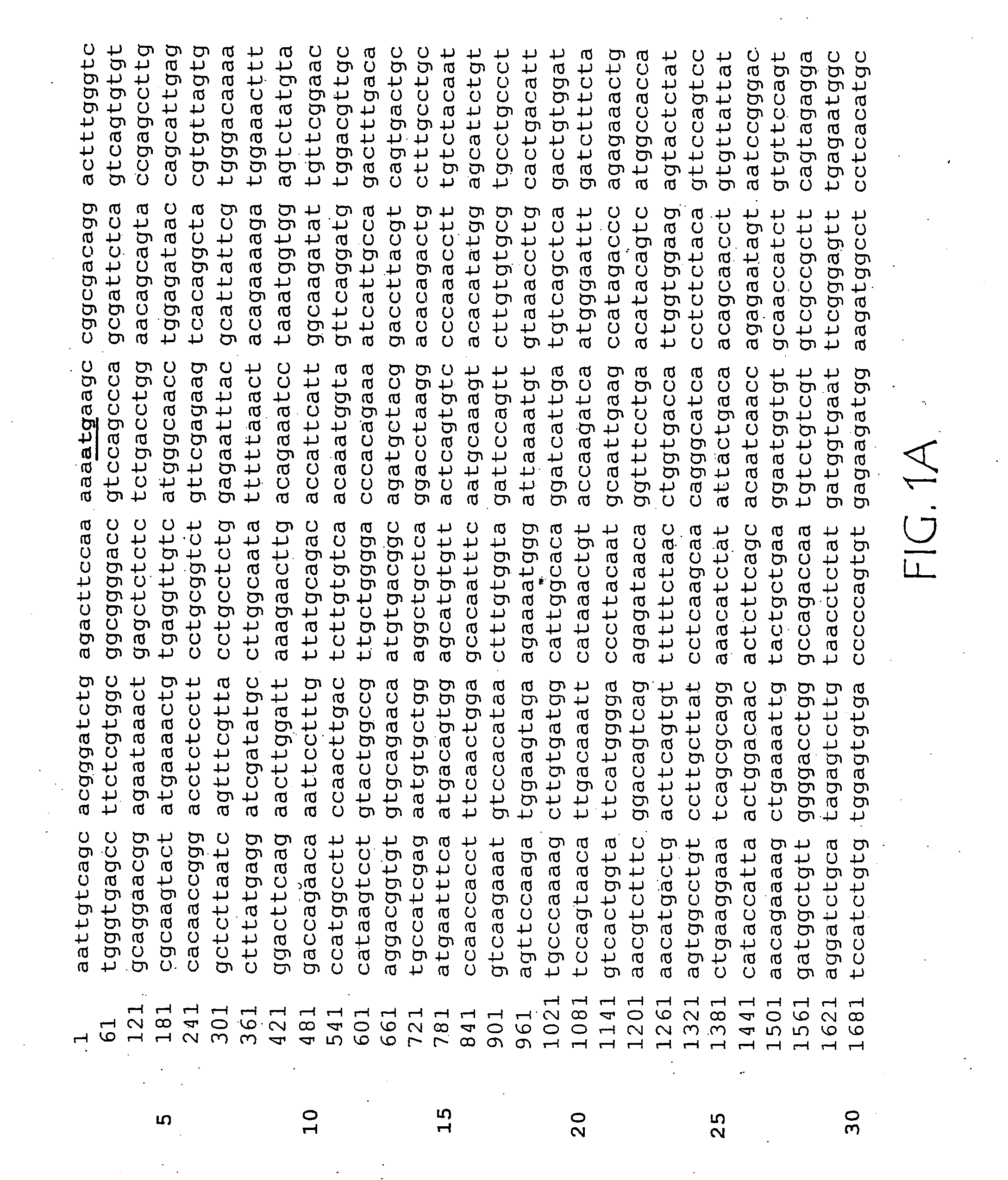 ErbB4 antagonists