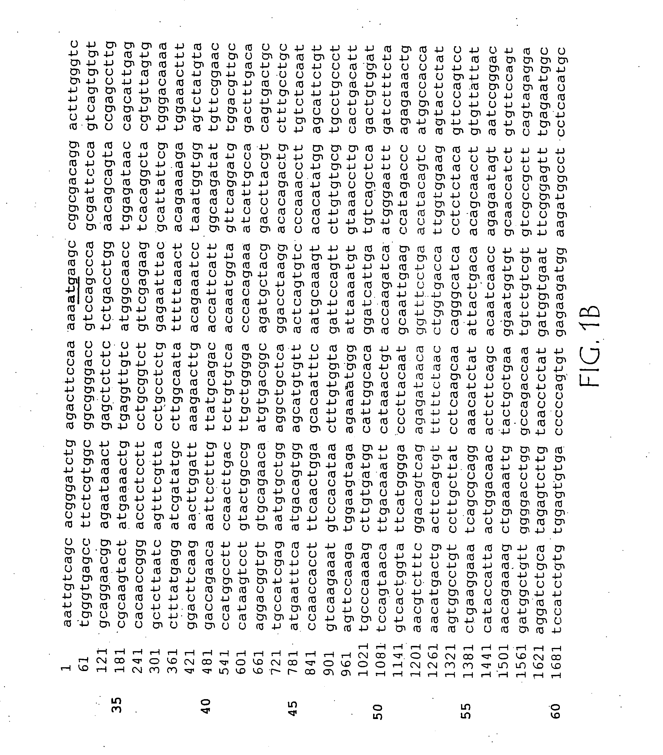 ErbB4 antagonists