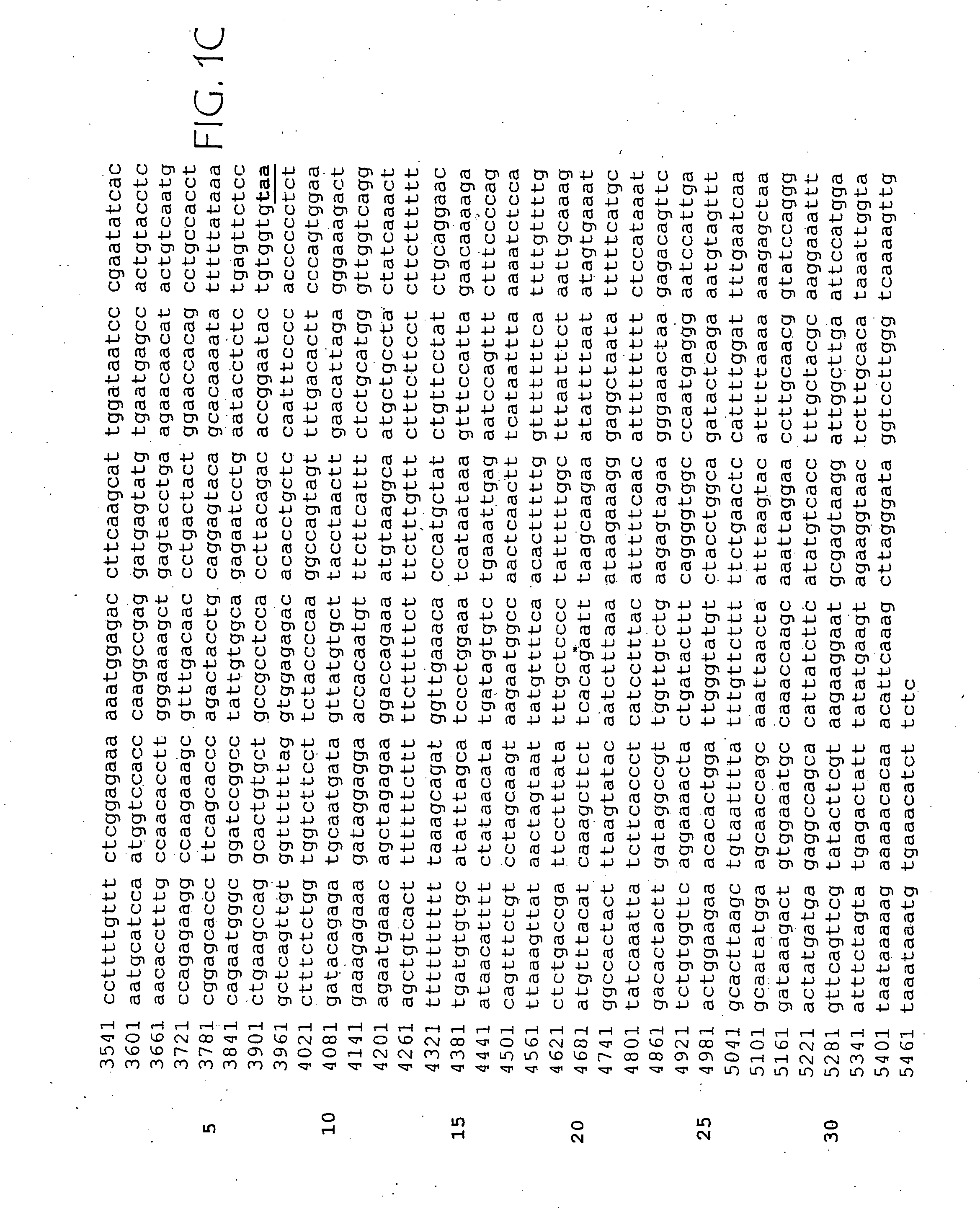 ErbB4 antagonists