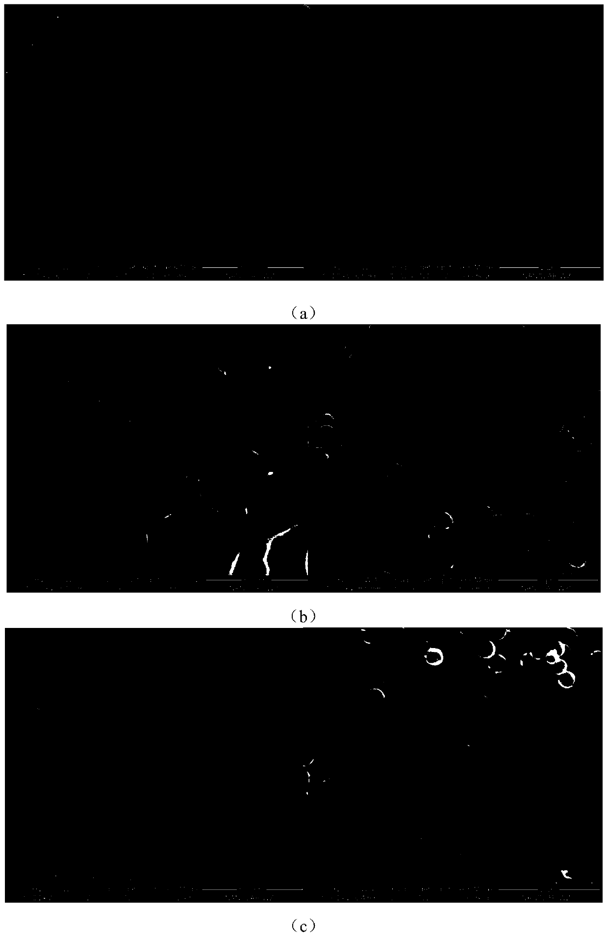 Nitrogen-doped barbed carbon nanosphere/sulfur composite material and preparation method and application thereof