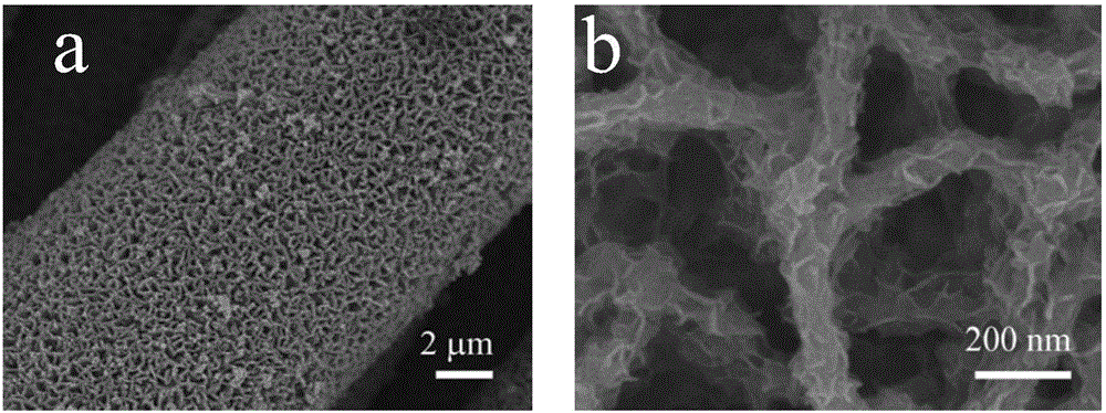 Nitrogen-doped carbon-coated molybdenum selenide/graphene core-shell array sandwich structure composite material, preparation method and application thereof