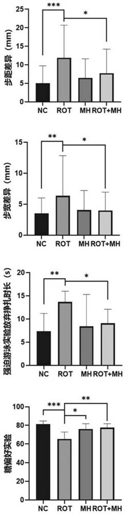 Application of meclofenoxate hydrochloride in preparation of medicine for preventing or treating Parkinson's disease