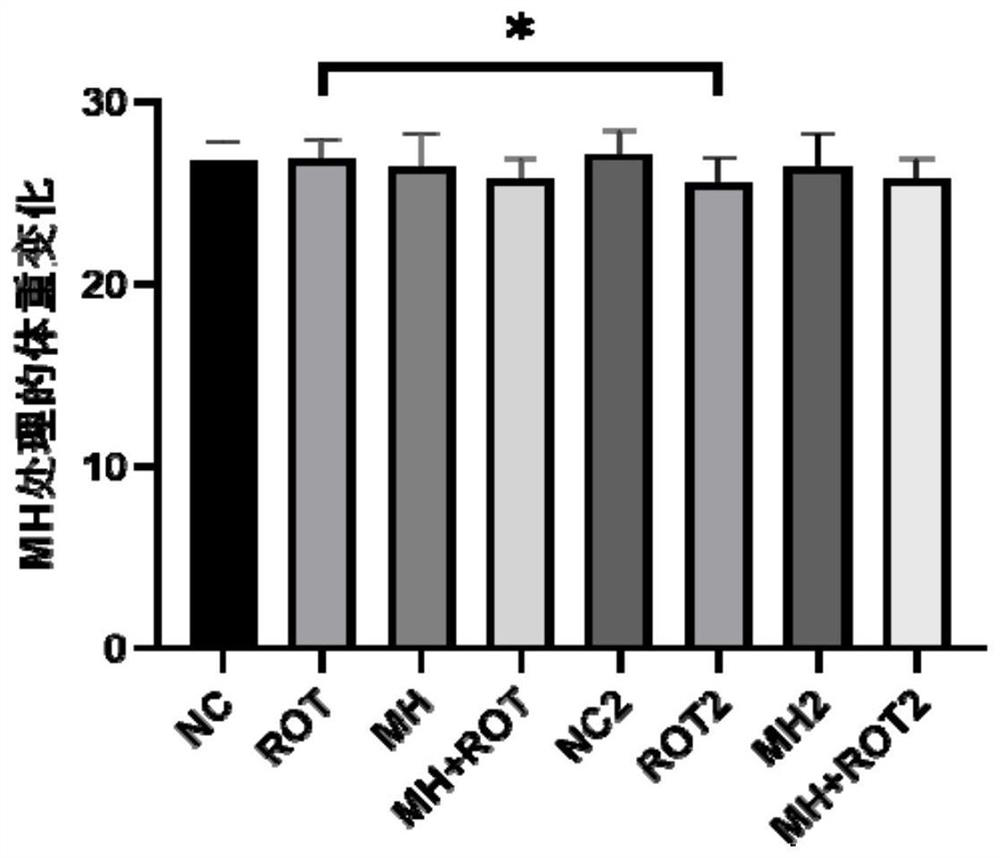 Application of meclofenoxate hydrochloride in preparation of medicine for preventing or treating Parkinson's disease