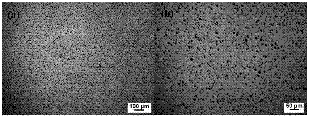 A kind of high-strength casting magnesium alloy and preparation method thereof