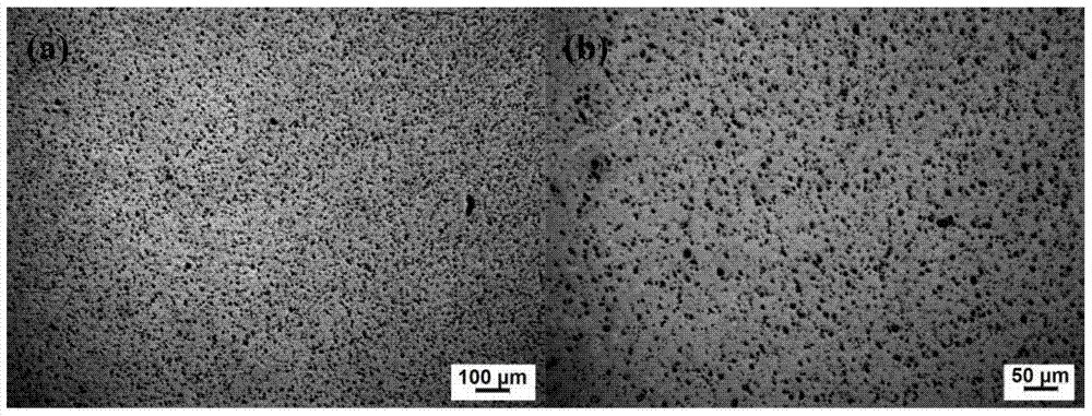 A kind of high-strength casting magnesium alloy and preparation method thereof