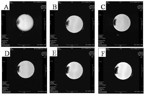 A kind of osteoinductive composite silk fibroin scaffold for MRI imaging and preparation method thereof