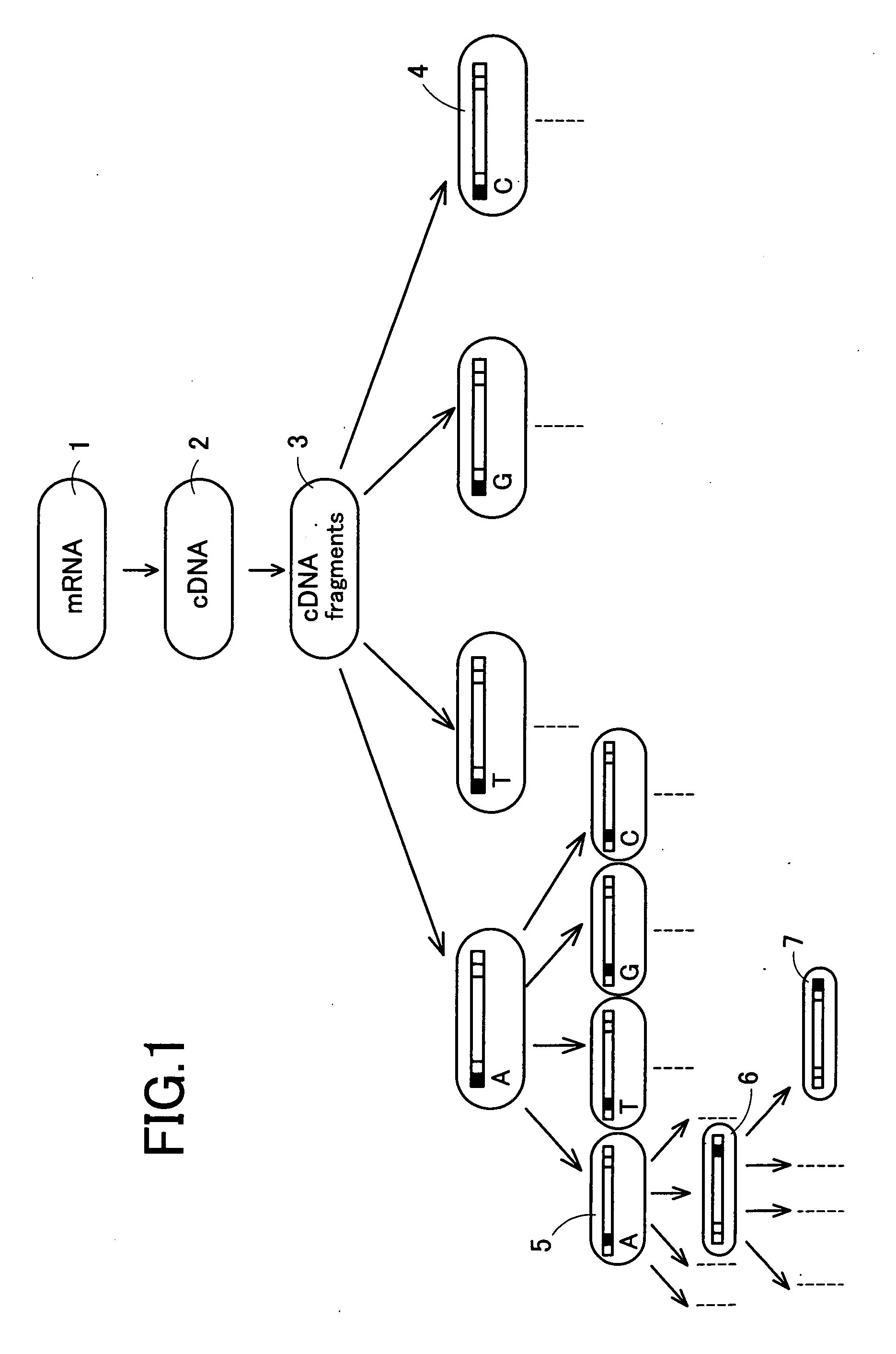 Methods for DNA recovery