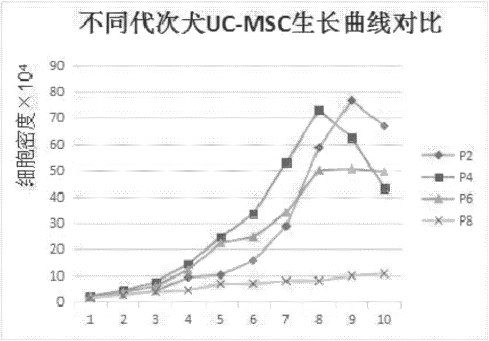 Method for performing primary culture on canine umbilical cord-derived mesenchymal stem cells