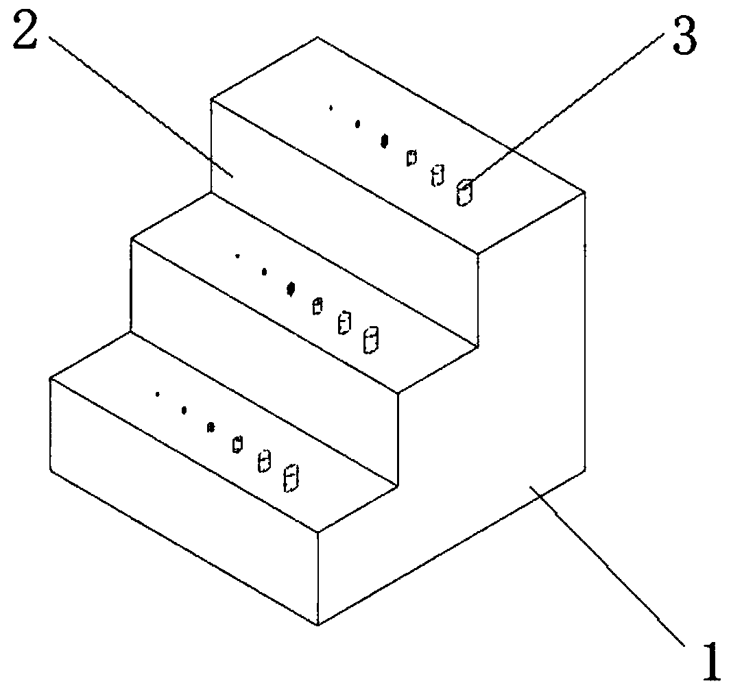 Basin-type insulator digital ray detection test block and detection method