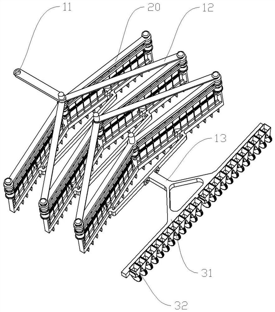 Forestry nursery seeder