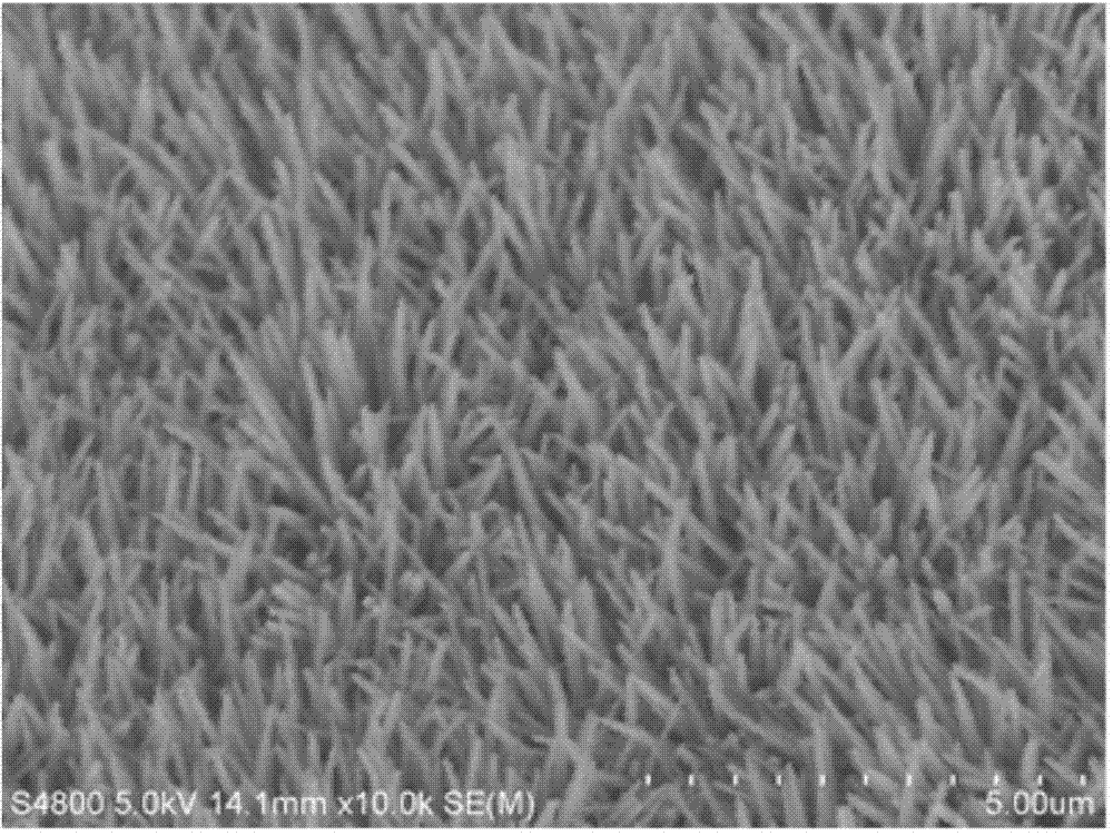 Cobaltosic oxide and cobalt molybdate core-shell heterostructure nanowire array, preparation method and application thereof