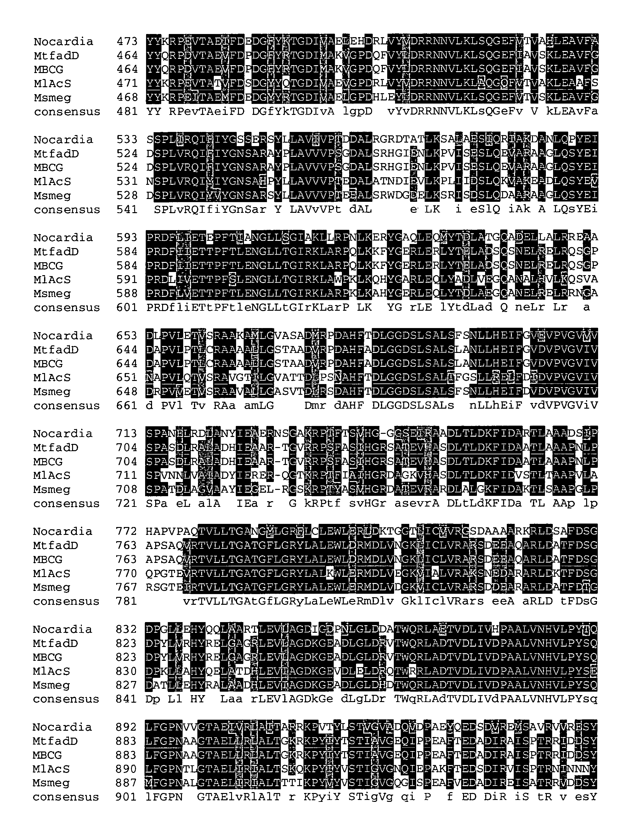 Carboxylic acid reductase polypeptide, nucleotide sequence encoding same and methods of use