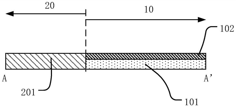 Stretchable display panel and display device