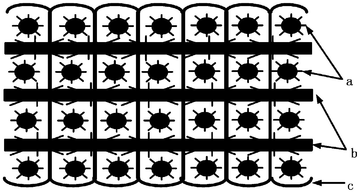 Water-repellent oil-absorbing three-dimensional porous cotton fabric preparation method