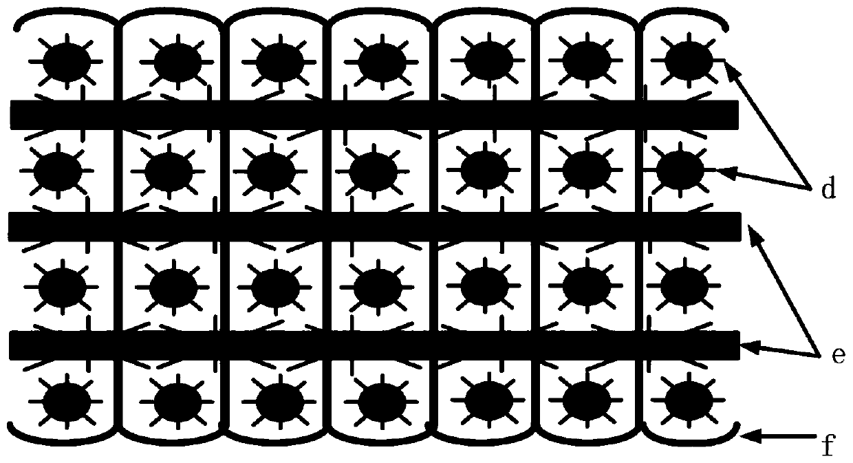 Water-repellent oil-absorbing three-dimensional porous cotton fabric preparation method