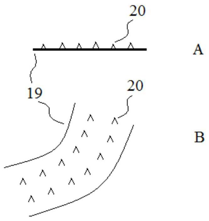 A kind of jatropha drying device