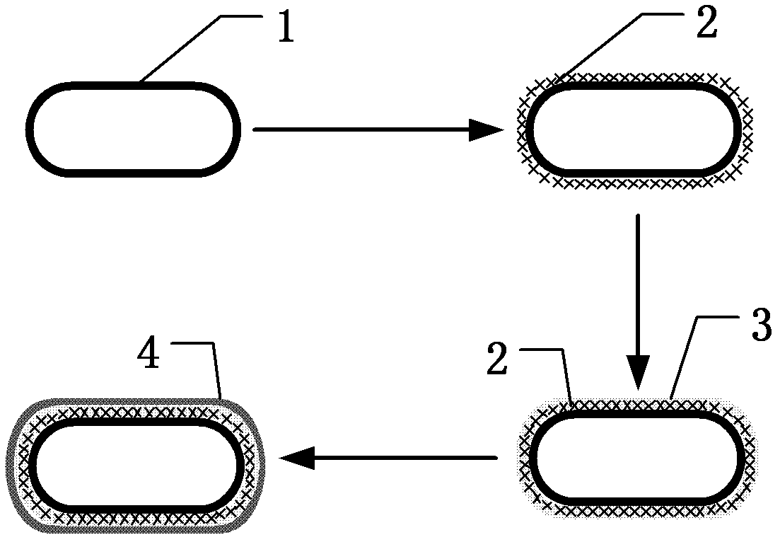 Surface-enhanced Raman scattering probe and preparation method thereof