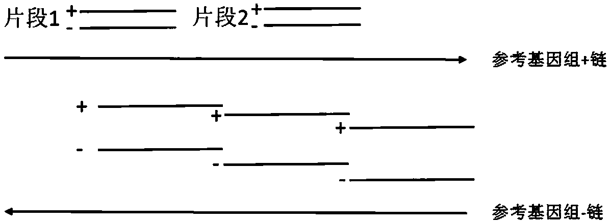 Capture probe for high-flux gene mutation sequencing and detecting and application thereof