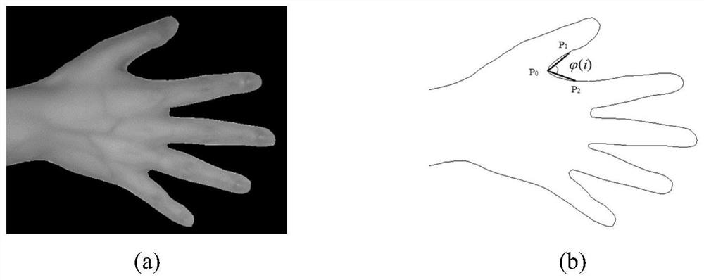 Vein Fusion Recognition Method of Hand Shape and Arm Based on Cumulative Matching and Equal Error Rate