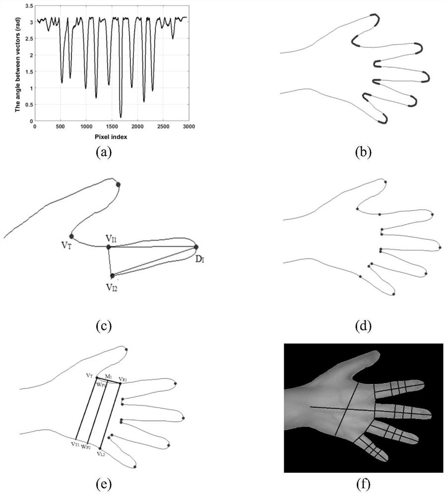 Vein Fusion Recognition Method of Hand Shape and Arm Based on Cumulative Matching and Equal Error Rate