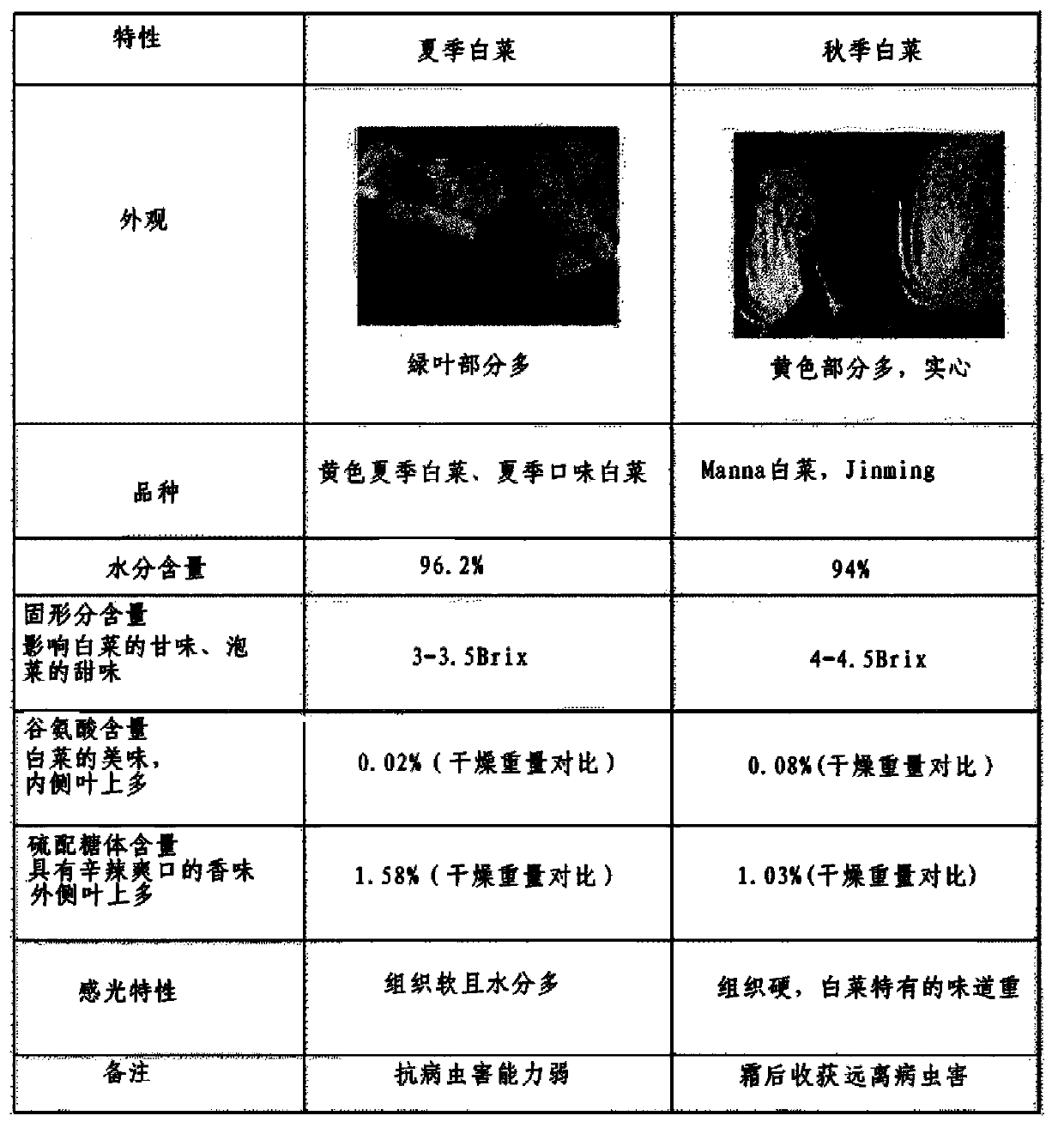 Method to produce concentrated cured kimchi fermentation liquor by using low-temperature evaporated chinese cabbage and radish concentrated liquor