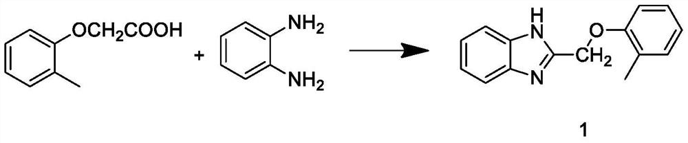 Artificial breeding method for cherax quadricarinatus in pond greenhouse