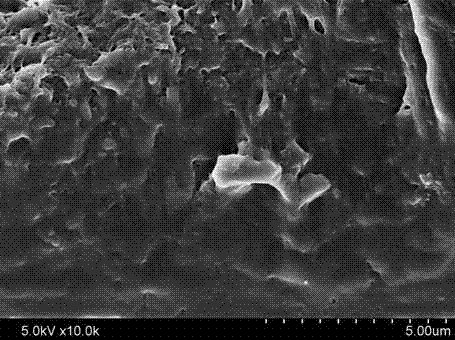 Fully-biodegradable composite membrane filled with nano silver/cellulose nanocrystal composite particles, and preparation method thereof