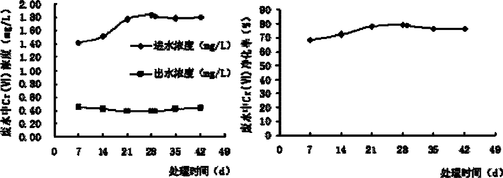 Application of mentha haplocalyx in purification of waste water containing Cr(VI) and Zn(II)